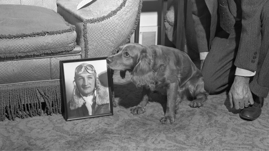 Tom Harmon's family dog sits beside a photograph of him.